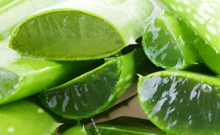 koristi Aloe Vera soka 